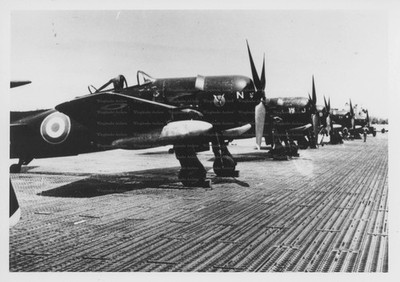 GRUMMAN BEARCAT - Original Flugzeug Foto