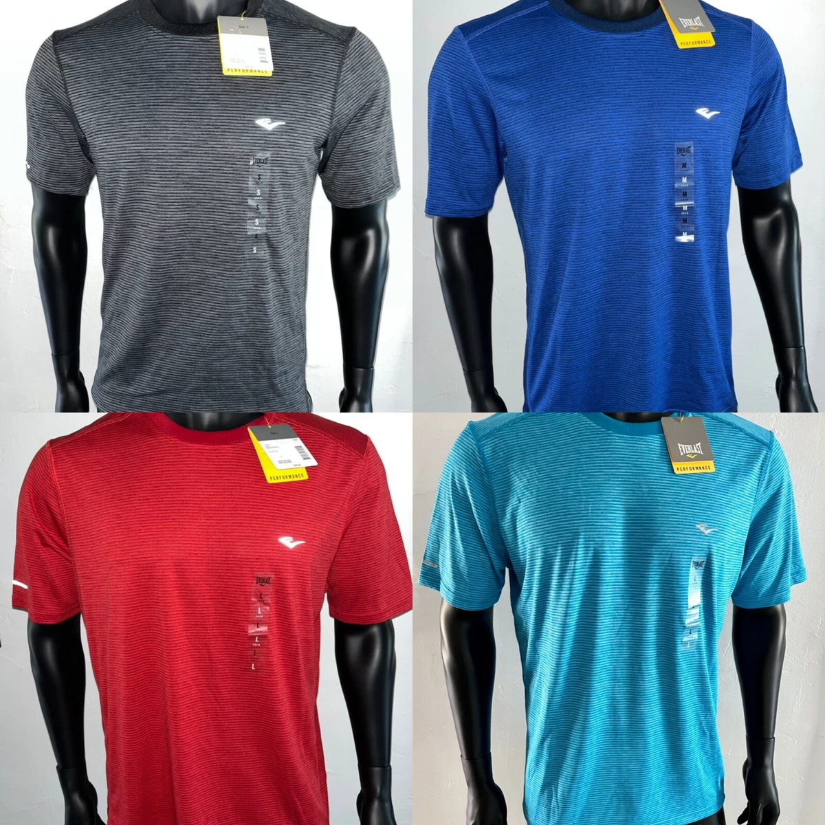 Everlast hotsell dri fit