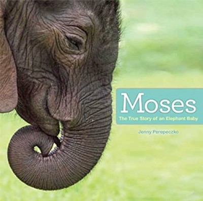 Moses : The True Story of an Elephant Baby Hardcover Jenny Perepe