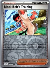 Black Belt's Training - 143/159 - SV09: Journey Together Reverse Holo