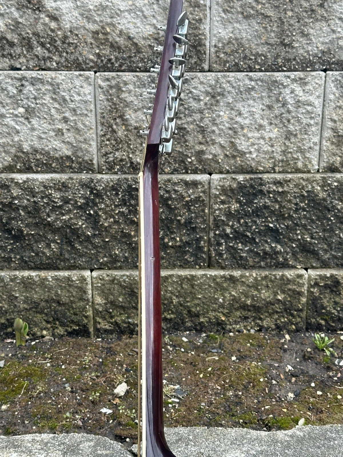 Picture 12 of 24