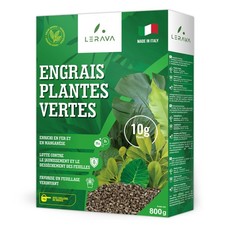 Engrais Plantes Vertes Intérieur (800 g) - Engrais Bio avec Fer et Manganèse ...