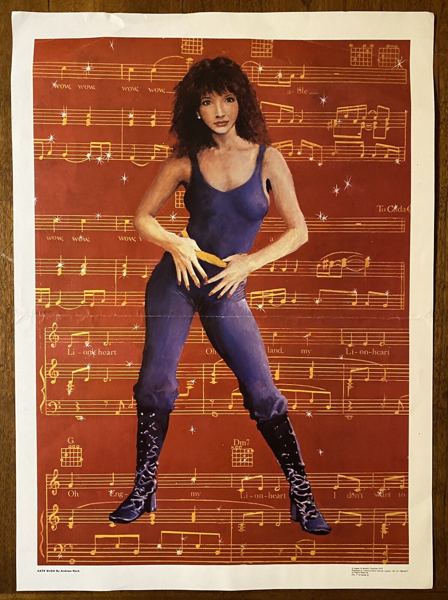 KATE BUSH レーザーディスク 未開封 KATE BUSH Live At Hammersmith Odeon JAPAN Laser Disc LD SM035-3491