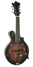 GOLD TONE F-STYLE 6-STRING ELECTRIC MANDOLIN MANDO-GUITAR w/ CASE