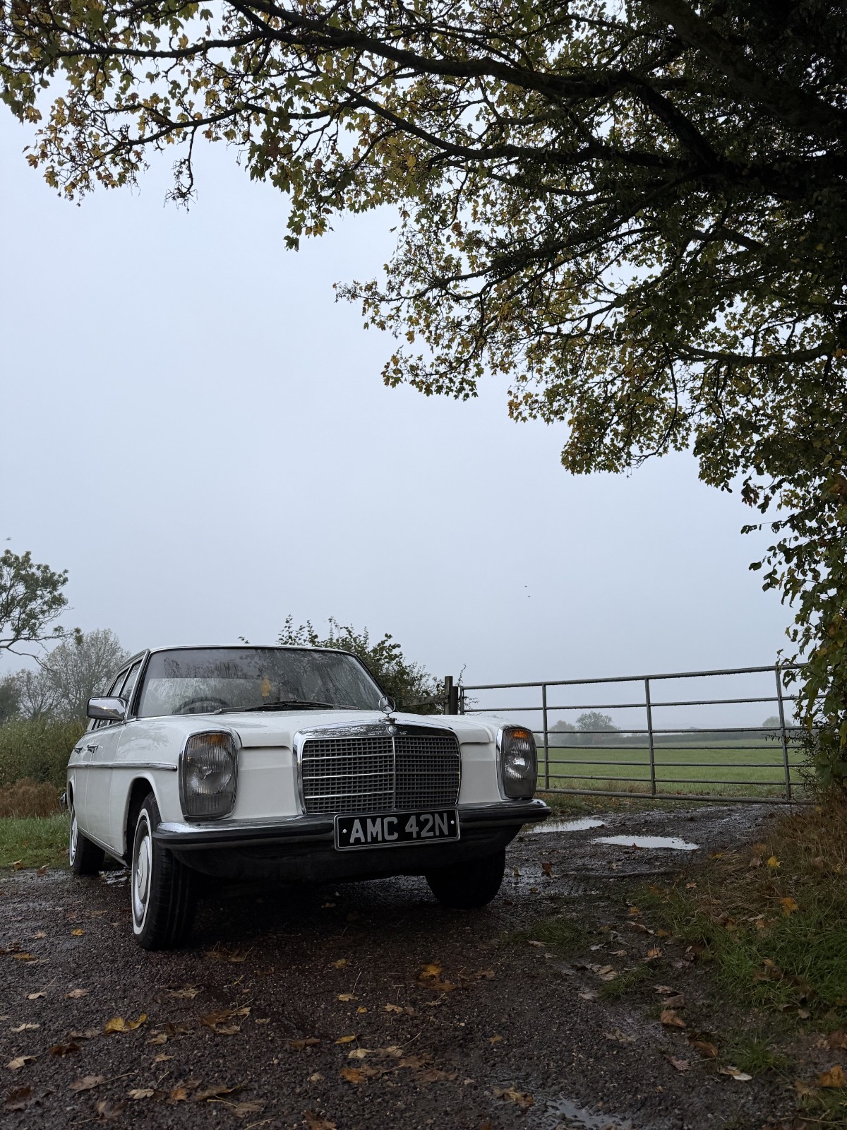 1975 Mercedes W115
