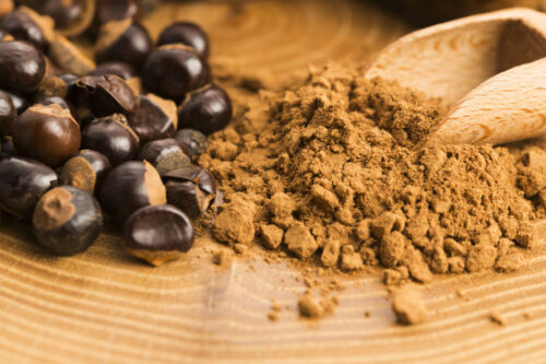 25 kg | polvere di guaranà | macinato | caffeina naturale | caffeina senza additivi  - Foto 1 di 1