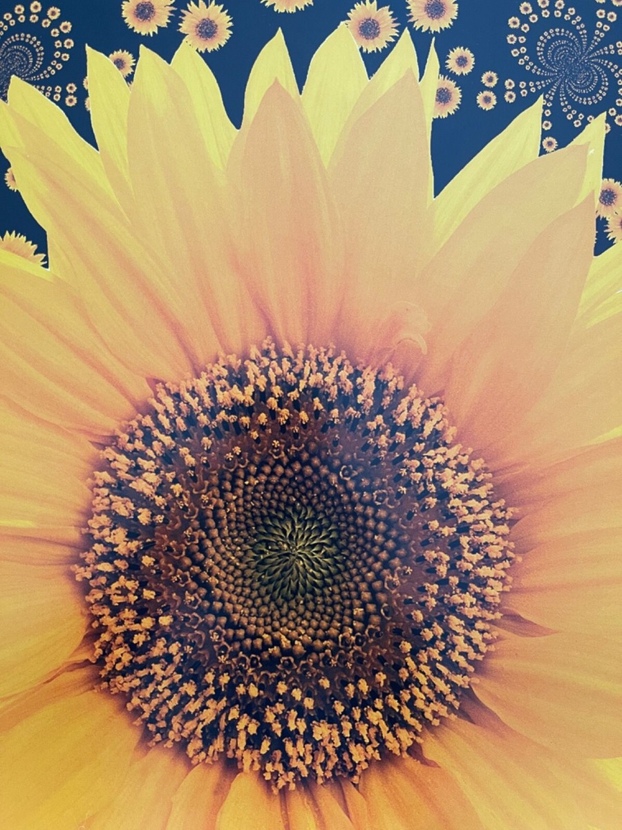 FRACTAL SUNFLOWERS BY KURT ANANDA PILZ,RARE AUTHENTIC 2001 POSTER