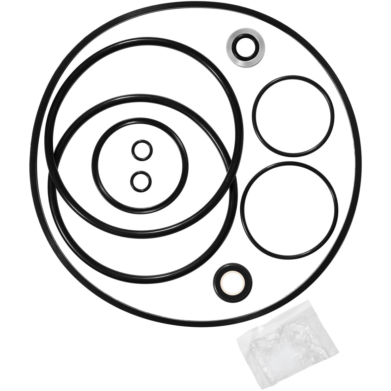 O-Ring Seal Repair Rebuild Kit Fit for Pentair Challenger Waterfall Pump 355329