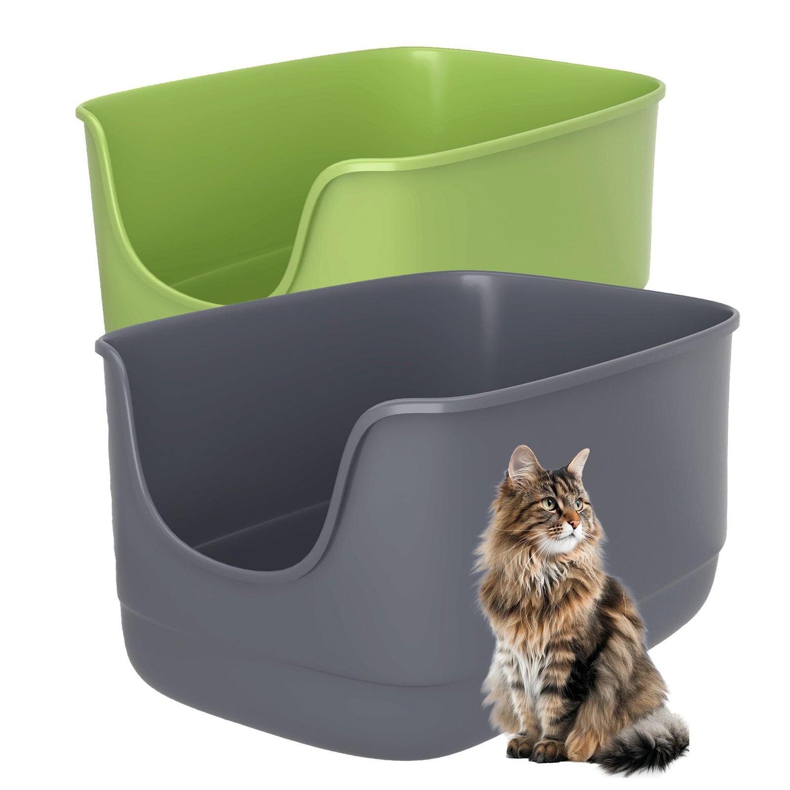 With High Sides, Extra Large For Muti Cats Open Big Cat ...