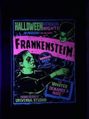 Universal Studios Halloween Horror Nights HHN 2021 Poster 24x18