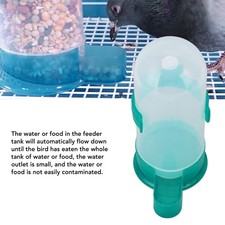 Large Capacity Water Feeder Durable Bird Feeder For Pigeons Green Premium