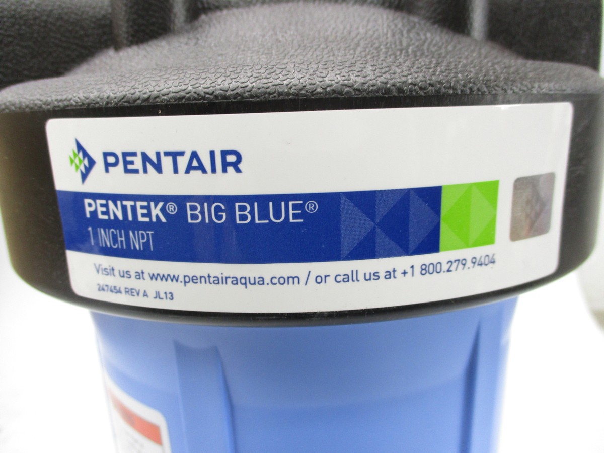 PENTAIR 150237 BIG BLUE (PKG OF 6) NSMP | eBay