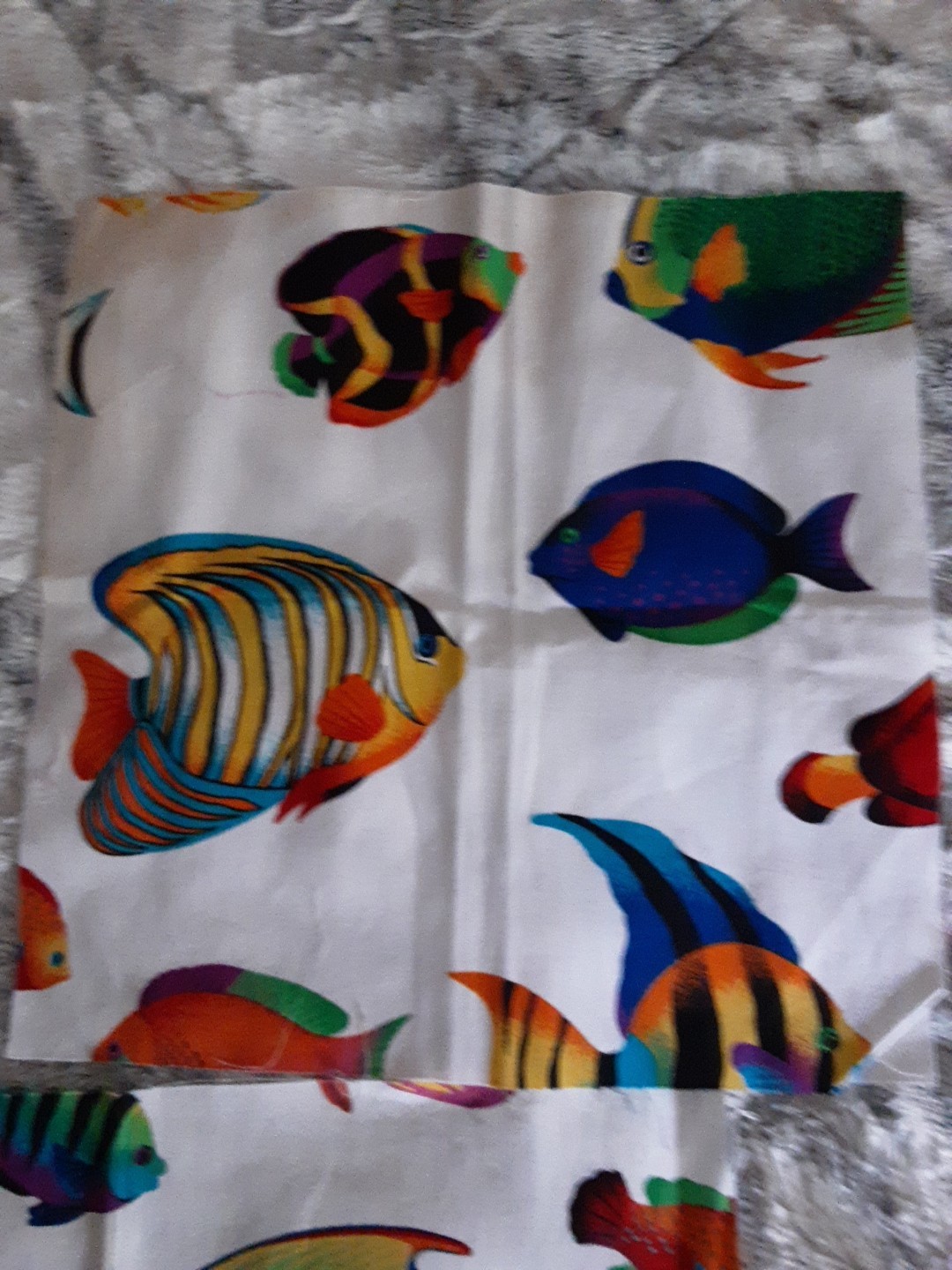 Foto 1 di 5