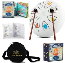 Steel Tongue Drum With Songbook And Bedtime Story - Kids Musical Instruments - M