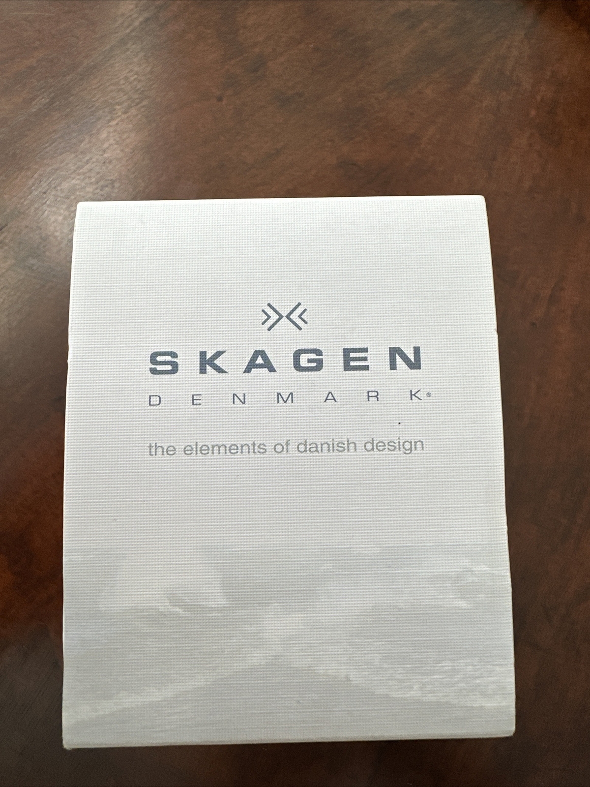 skagen mens watch eBay