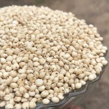 Organic Jowar Whole Grain Sorghum Millet - Gl...