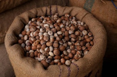 (500g) Dried Areca BETEL Nut Palm FREE Limestone Paste Supari Catechu Sri Lanka