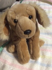 golden retriever peluche