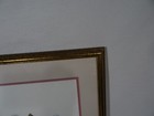 Bild 7 von 16