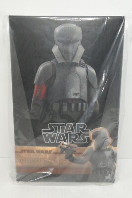 Hot Toys 1/6 Scale Star Wars The Mandalorian Transport Trooper