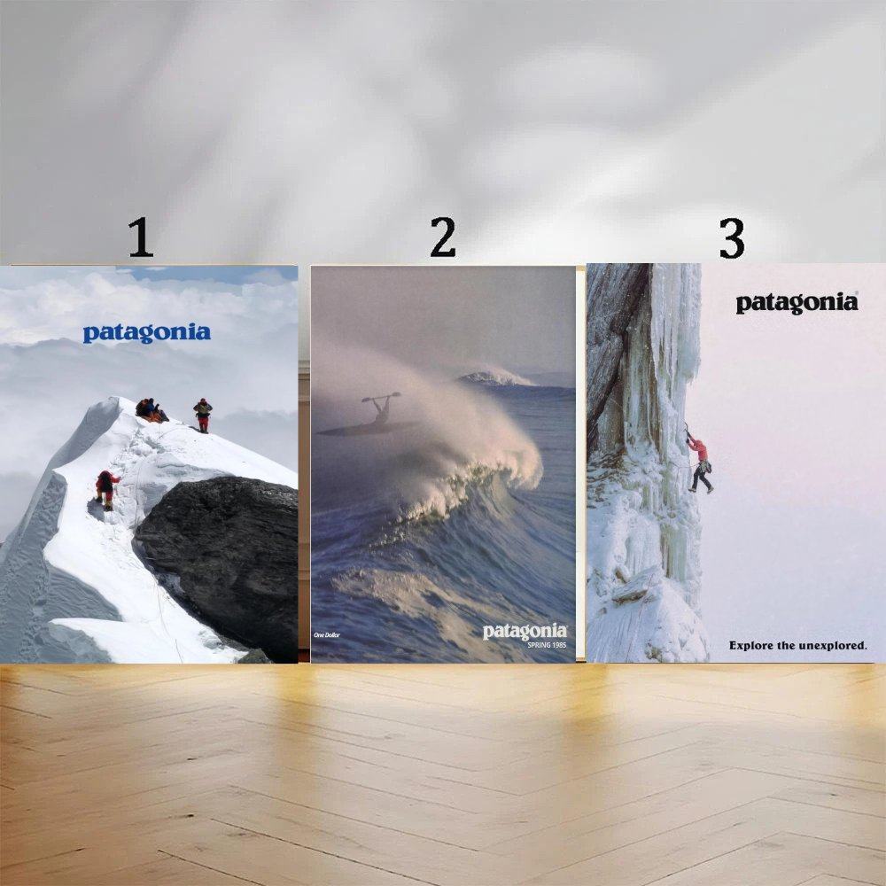 Patagonia Advertisement Vintage Poster | eBay