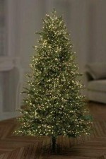 Image of Premier Christmas TREEBRIGHTS 1000 Multi-Action LED Warm Ice White Multicoloured