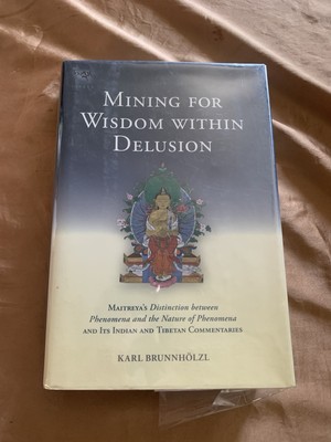 Mining for Wisdom Within Delusion : Maitreya's Distinction Between Phenomena and