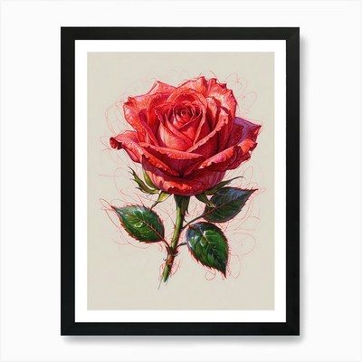 Rote Rose 1 Kunstdruck gerahmt Wandbild Poster Leinwanddruck Bild