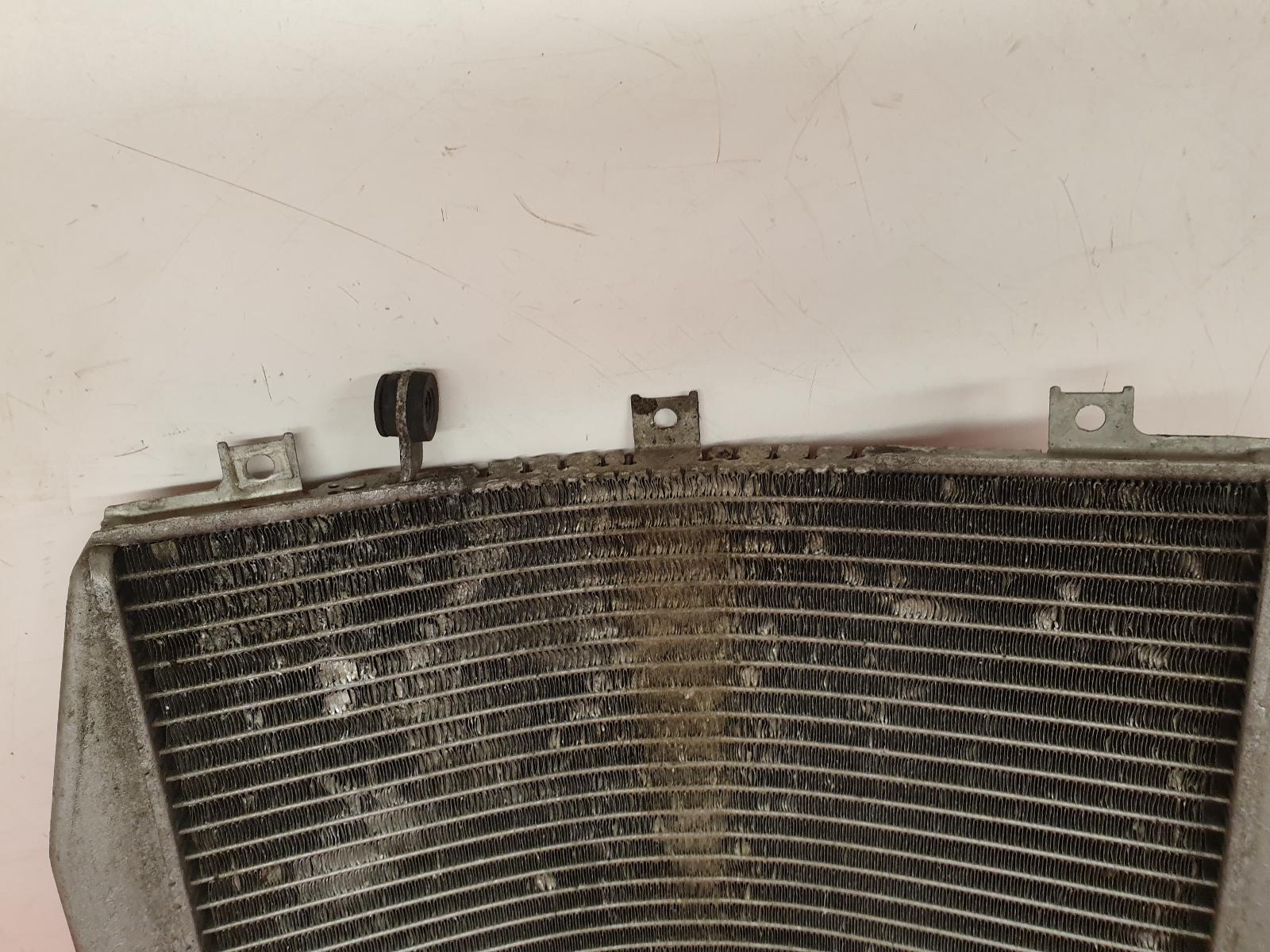 390611286 Water Radiator Kawasaki Ninja Zx-6 R RR 528632 for sale
