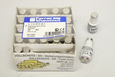 24x FERRAZ SHAWMUT  597.0257 25A DII  Schmelzsicherung Sicherungseinsatz