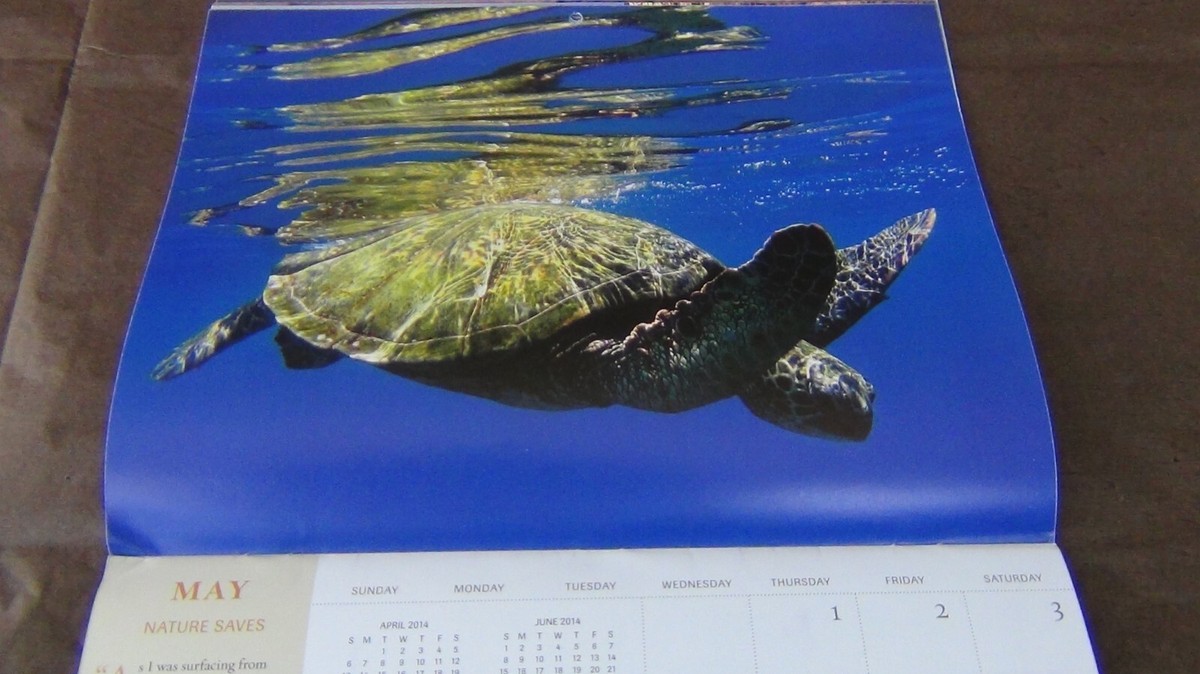 The Nature Conservancy 2014 Calendar Protecting & Conserving Nature FREE SHIP! | eBay the-nature-conservancy-2014-calendar-protecting-conserving-nature-free-ship-ebay
