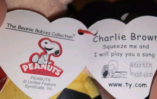 NWT Peanuts Lot Of 3: Kohls Cares Snoopy 14" Plush/ Charlie Brown Orange/ TY BB - Picture 7 of 7
