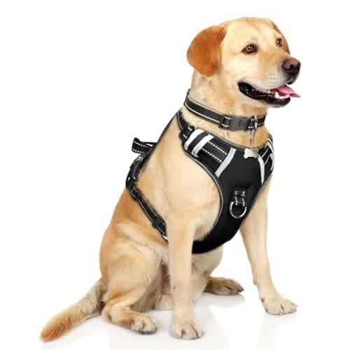 Dog Harness No Pull, Pet Harnesses with Dog Collar, Adjustable Large Black Dog Harness No Pull, Pet Harnesses with Dog Collar, Adjustable Large Black