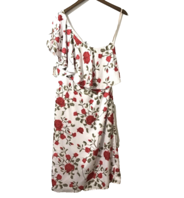 open lace back dress Loyality One Shoulder Maxi — White & Red Floral main image 0