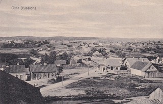 Olita Alytus Dzūkija Lithuania 1916 Partial View