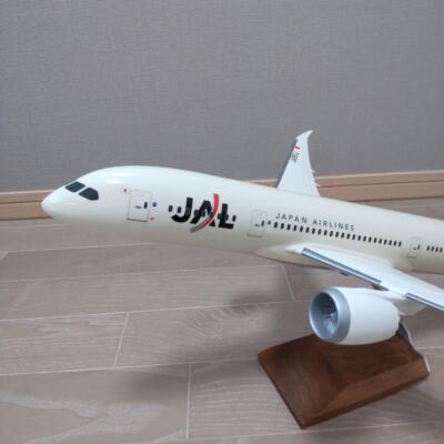 Gemini Jets Novelty 1/100 Pacmin Japan Airlines B787-8 Ja851J | eBay