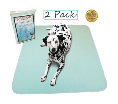 xxl dog training pads