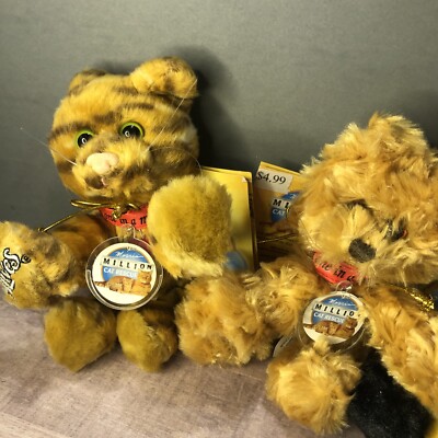 9 Lives Cat Rescue: Transforming Feline Futures