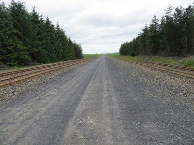 Foto A3 Schmalspurbahn verlässt den Wald Myrelandhorn um 2017