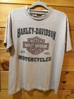 Harley Davidson San Diego CA Dealer T Shirt Mens Medium Gray 2 Sided Logo