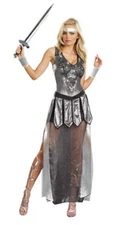 Dreamgirl One Hot Knight Womens Size S Halloween Costume Sexy Dress NWT $70