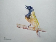 Swallow, Birds, Watercolor artwork, Handmade, Original painting on paper