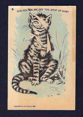 c1880 Stock Victorian Trade Card, #6 Cats, Did You See Me Get The Best Of Him