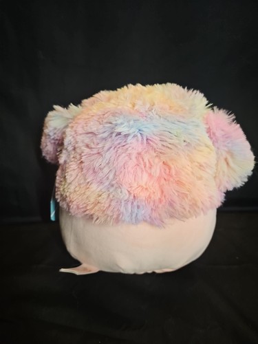 Diane der Pfirsich Bigfoot Squishmallows 8 Zoll Stoff Plüsch Brandneu mit Etikett Rarität - Bild 2 von 3