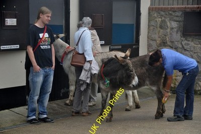 Foto A3 East Devon: Slade House Farm Trow Slade House Farm is the home c2011