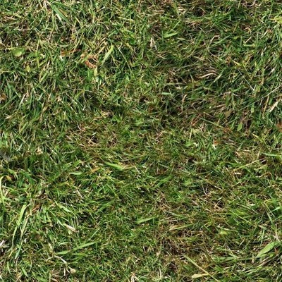Grass 32 - 16'' x 48'' Hydrographic Film Hydro Dipping