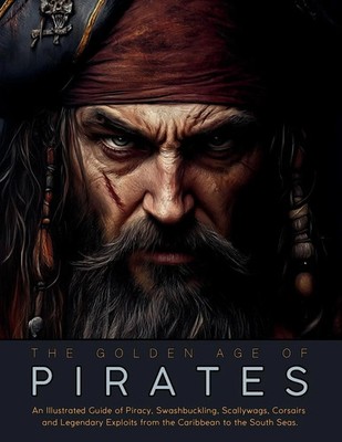 The Go*den Age of Pirates Ziggy Quinete Taschenbuch Englisch 2025
