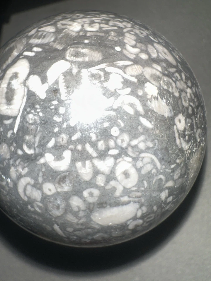 GENUINE Crinoid Fossils Sphere. Rare Find, One-of-a-kind - Image 4 of 4