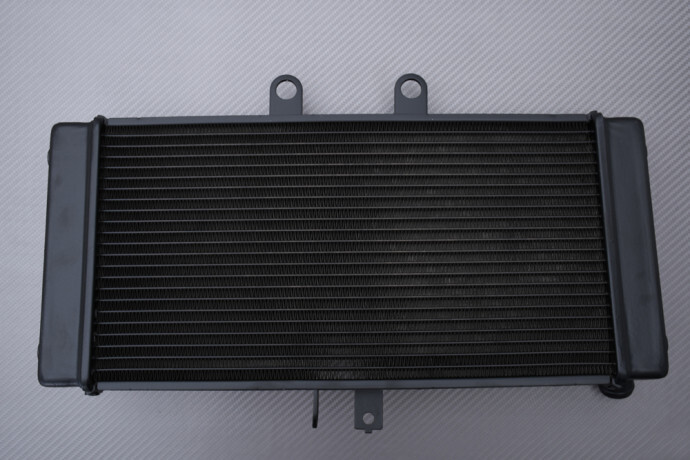 Radiateur eau Suzuki GSF 1250 Bandit pour rénovation moto et entretien circuit thermique
