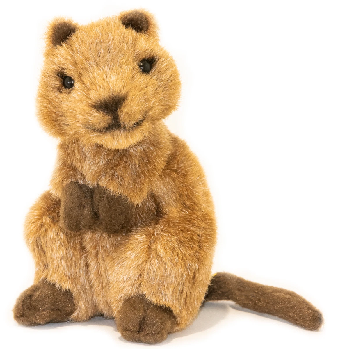 Bocchetta Plush Soft Toy Mini QUOKKA 14cm 5.5 Australian